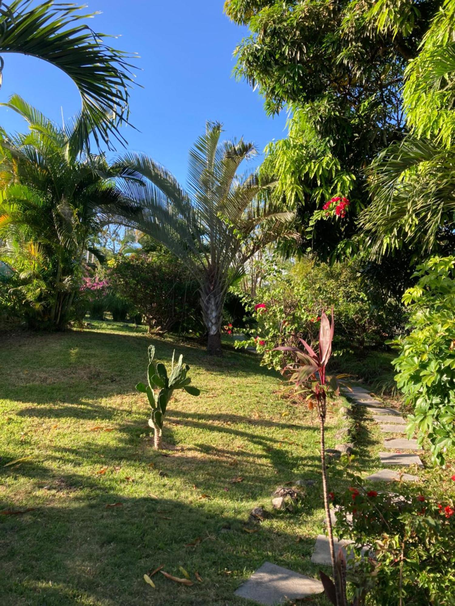 La Maracuya Panama Bed & Breakfast Playa Coronado Exterior photo
