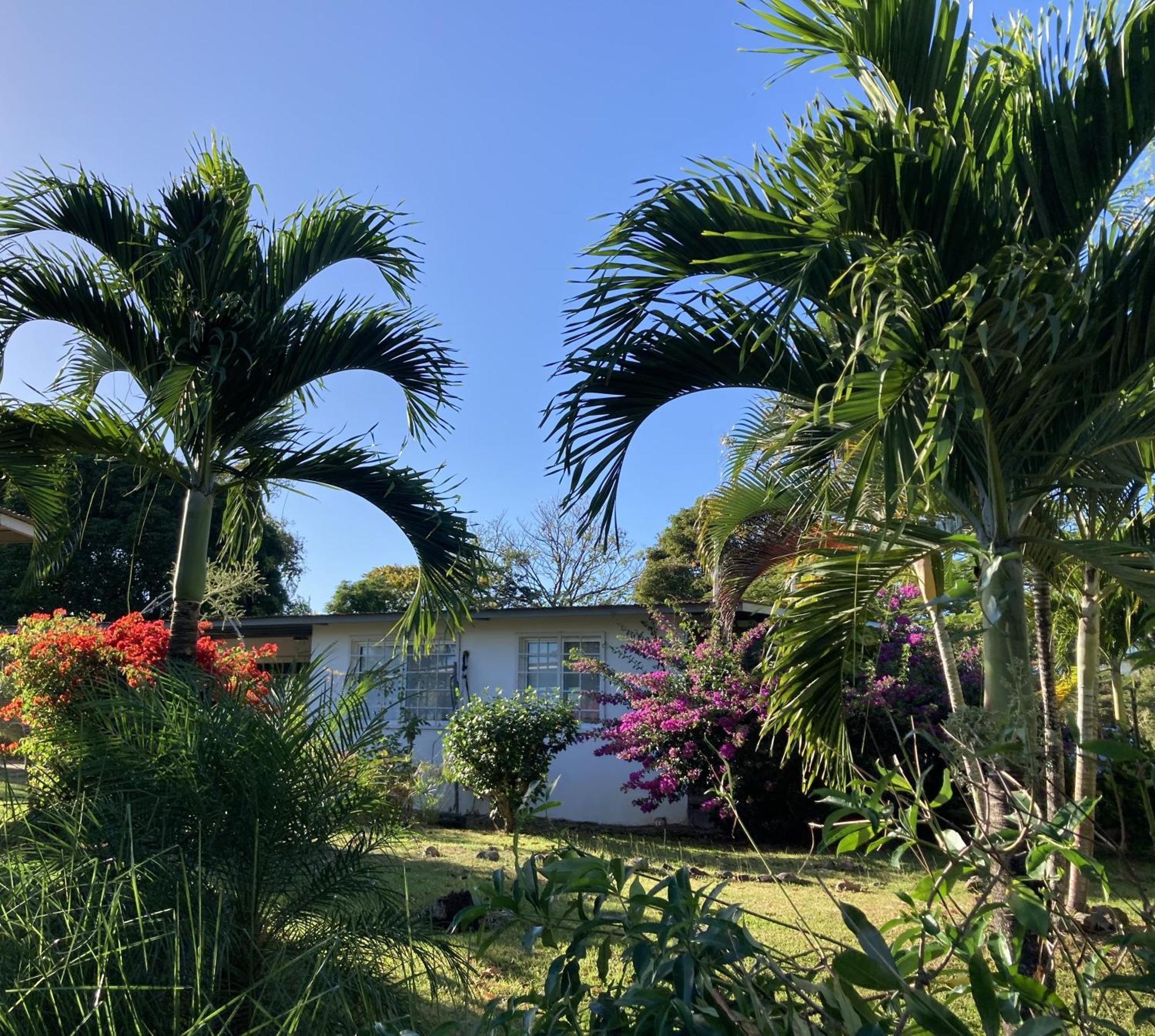 La Maracuya Panama Bed & Breakfast Playa Coronado Exterior photo